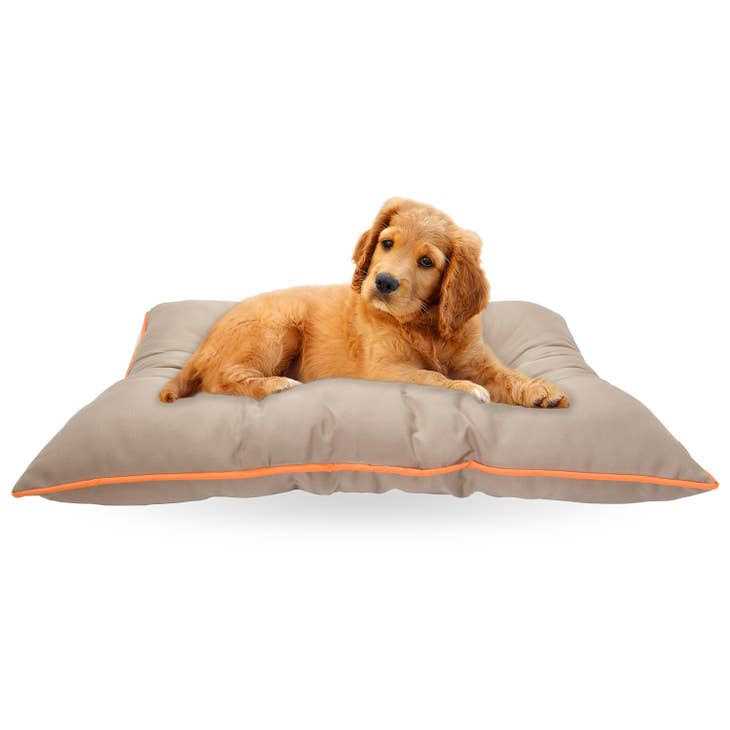 Pet Bed Z490943