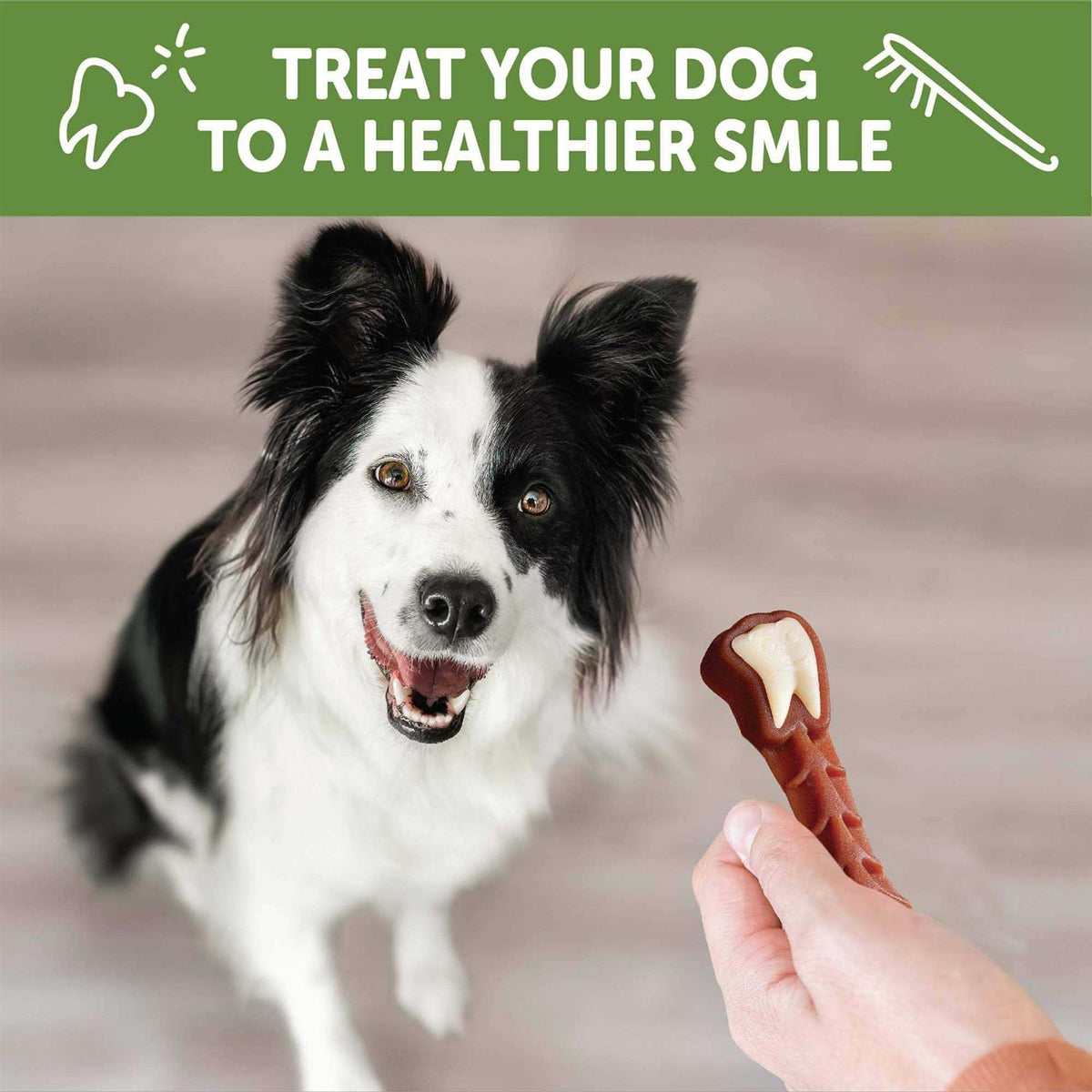 Dental Treats Q598