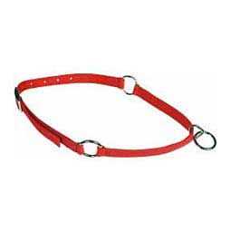Pet Neck Collar X74323