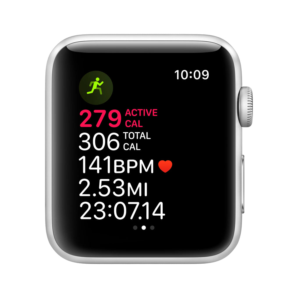 Silver 42mm Apple Watch L4795