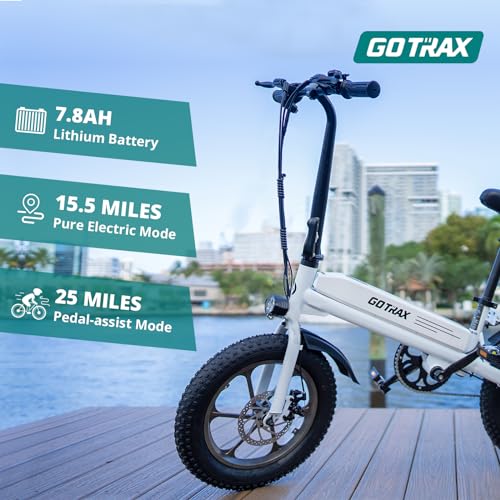 16x3.0 Fat Tire 750W Folding Electric Bike Z383