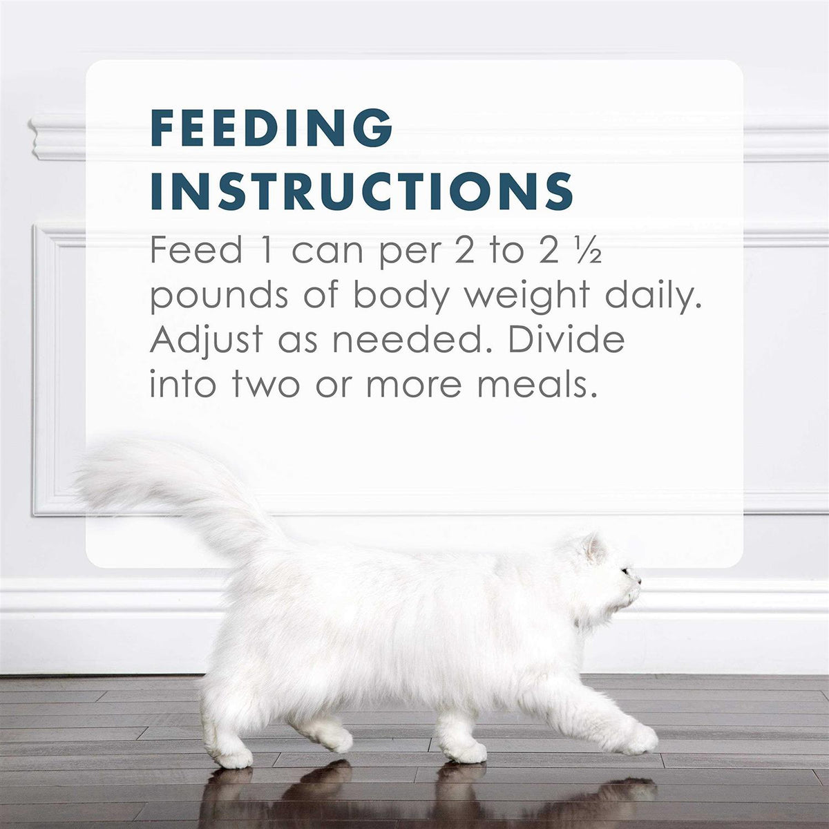 Tuna Recipe in Gravy Wet Cat Food S91305