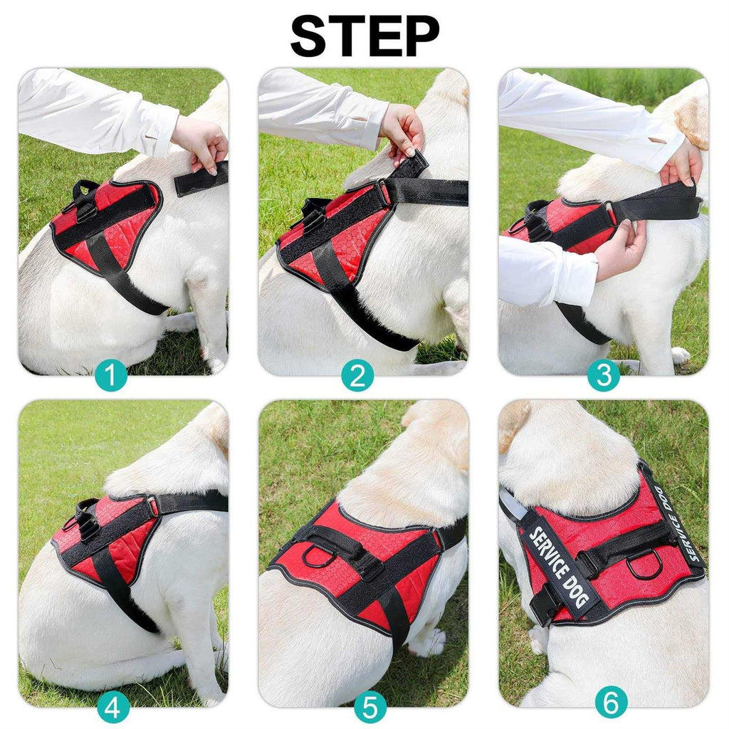 Service Dog Harness M886