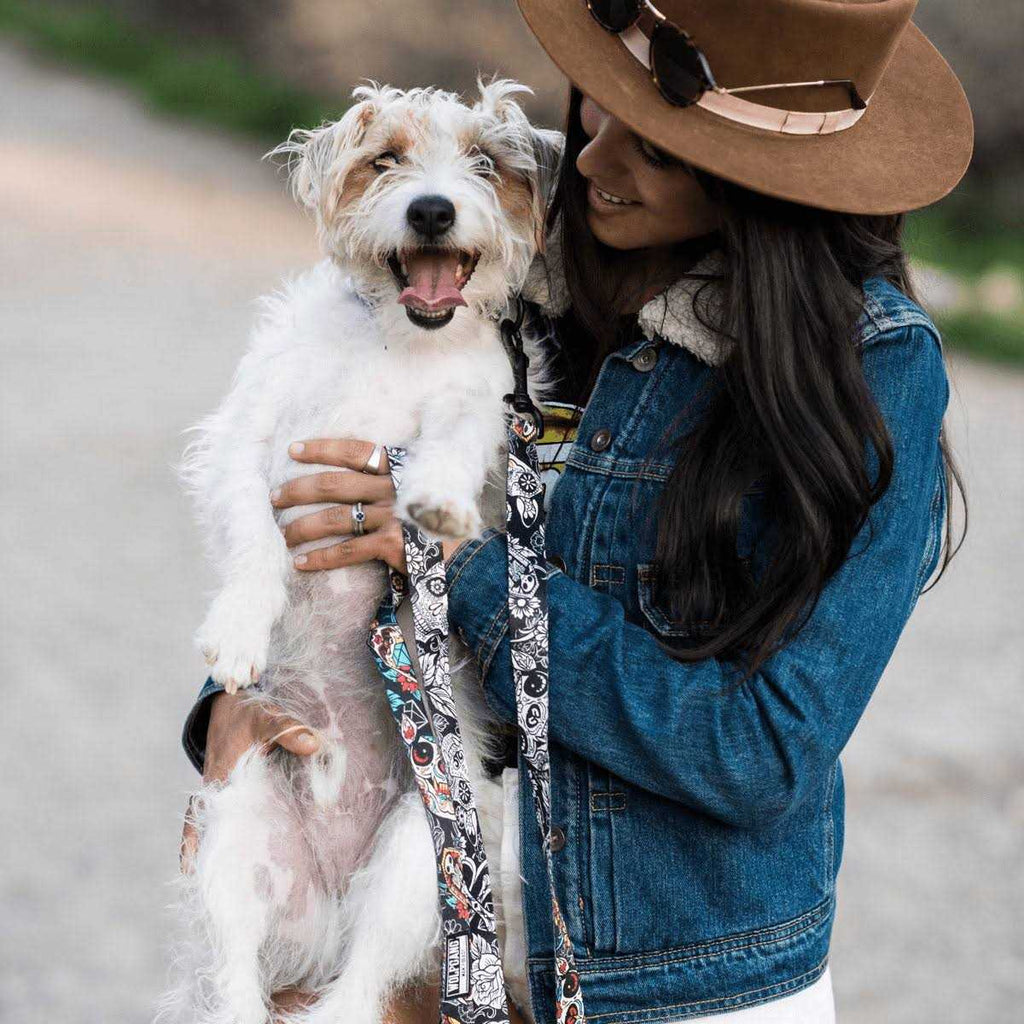 Dog Leash E976