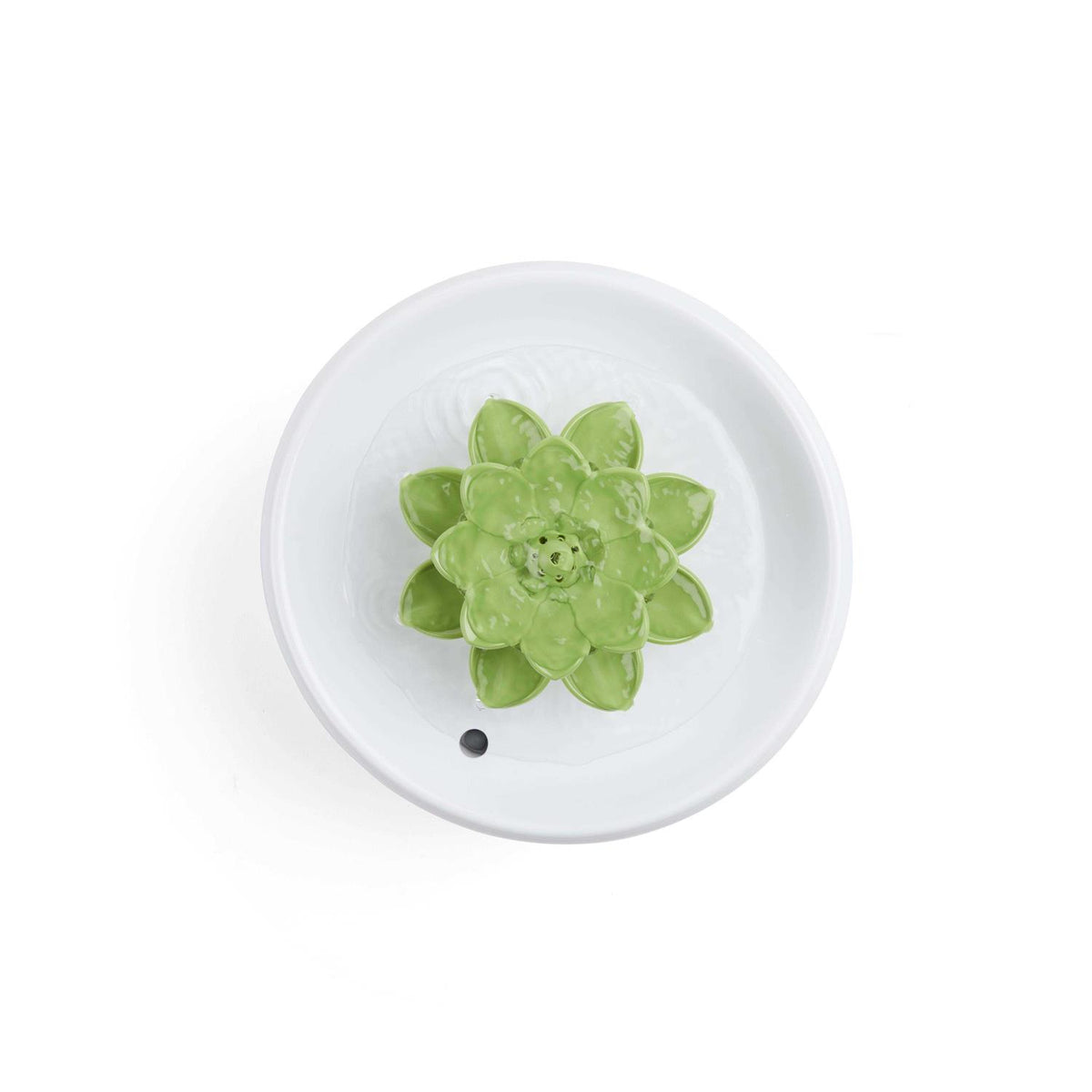 Succulent Pets Water Fountain R8312