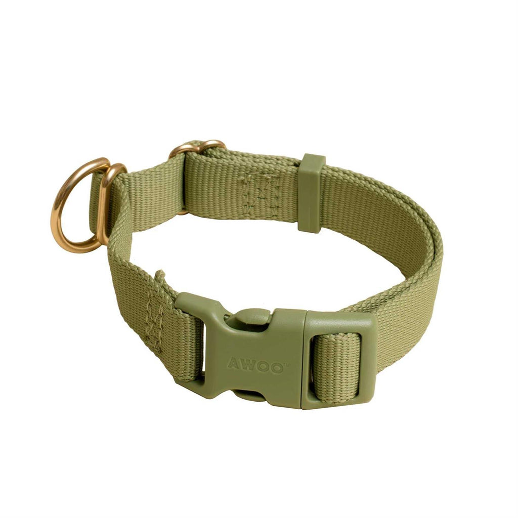Standard Dog Collar R6981