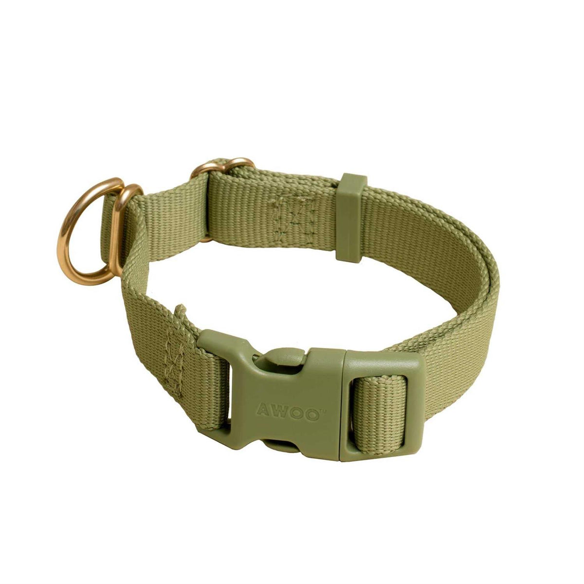 Standard Dog Collar R6981