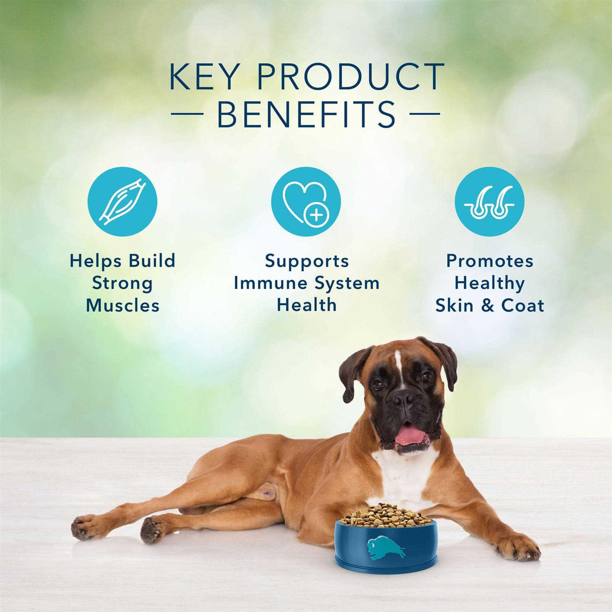 Adult Dog Food H883071