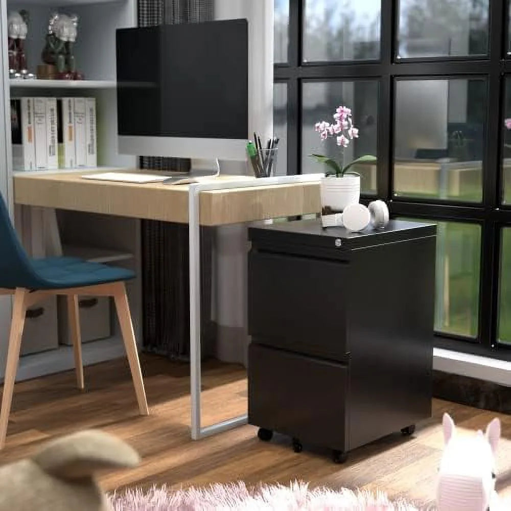 Black 2 Drawer Metal File Cabinet with Lock H883649