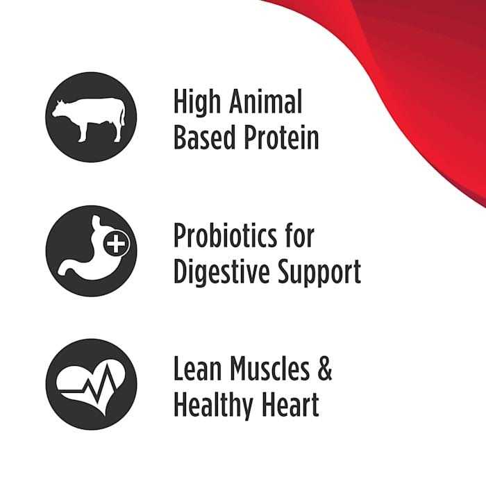 High-Protein Beef Adult Dry Dog Food A3915