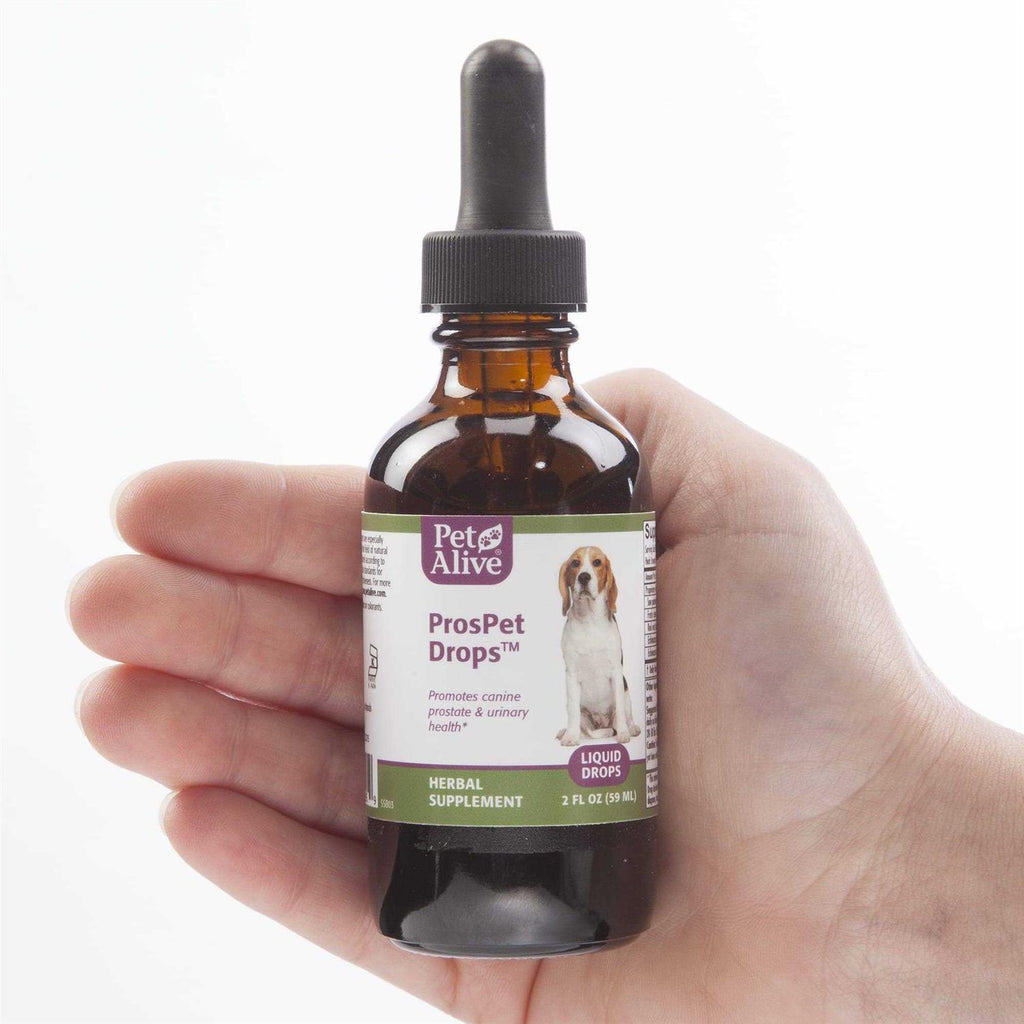 Prostate Health Dog Supplement G5412