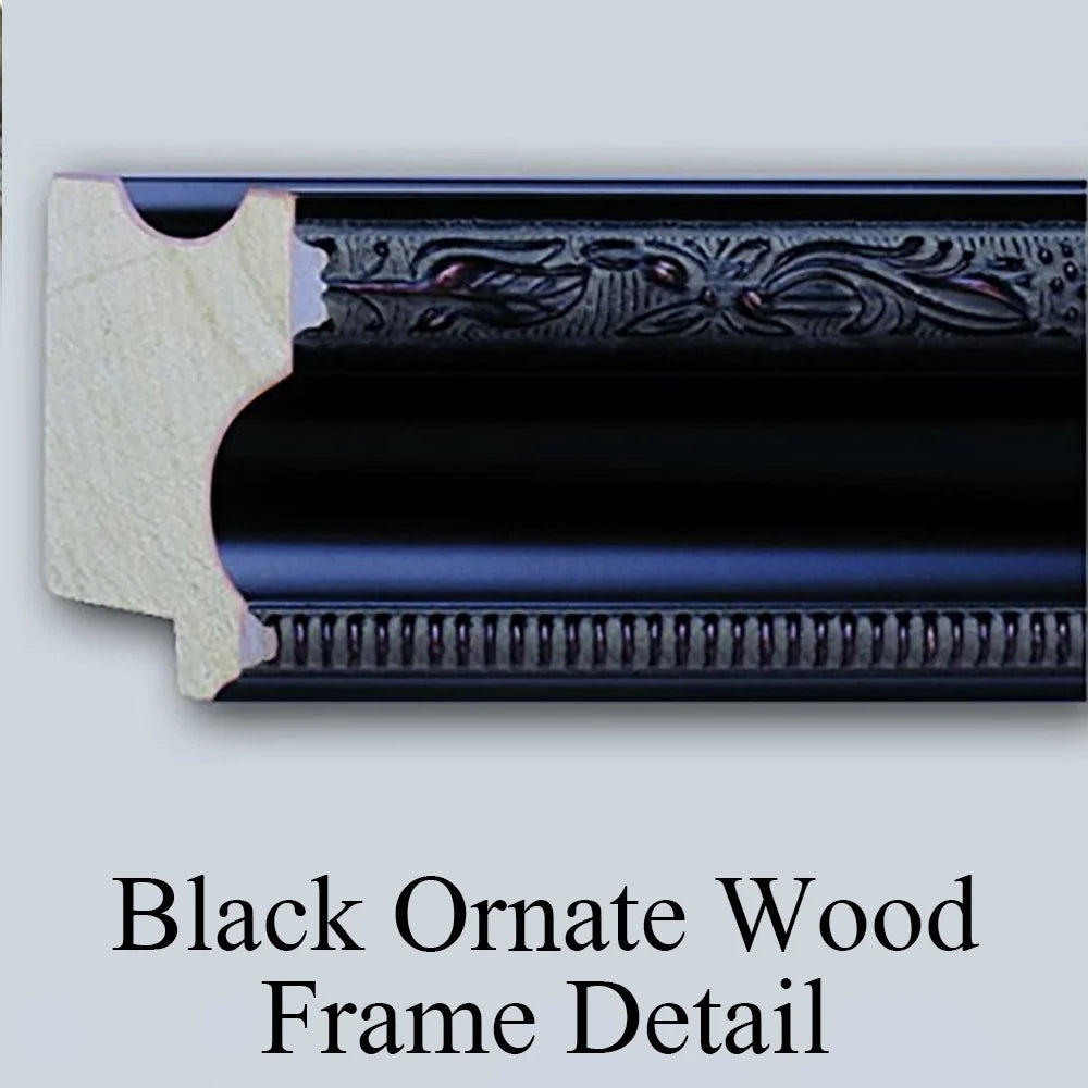 Black Ornate Wood Framed Museum Art Print Y607348