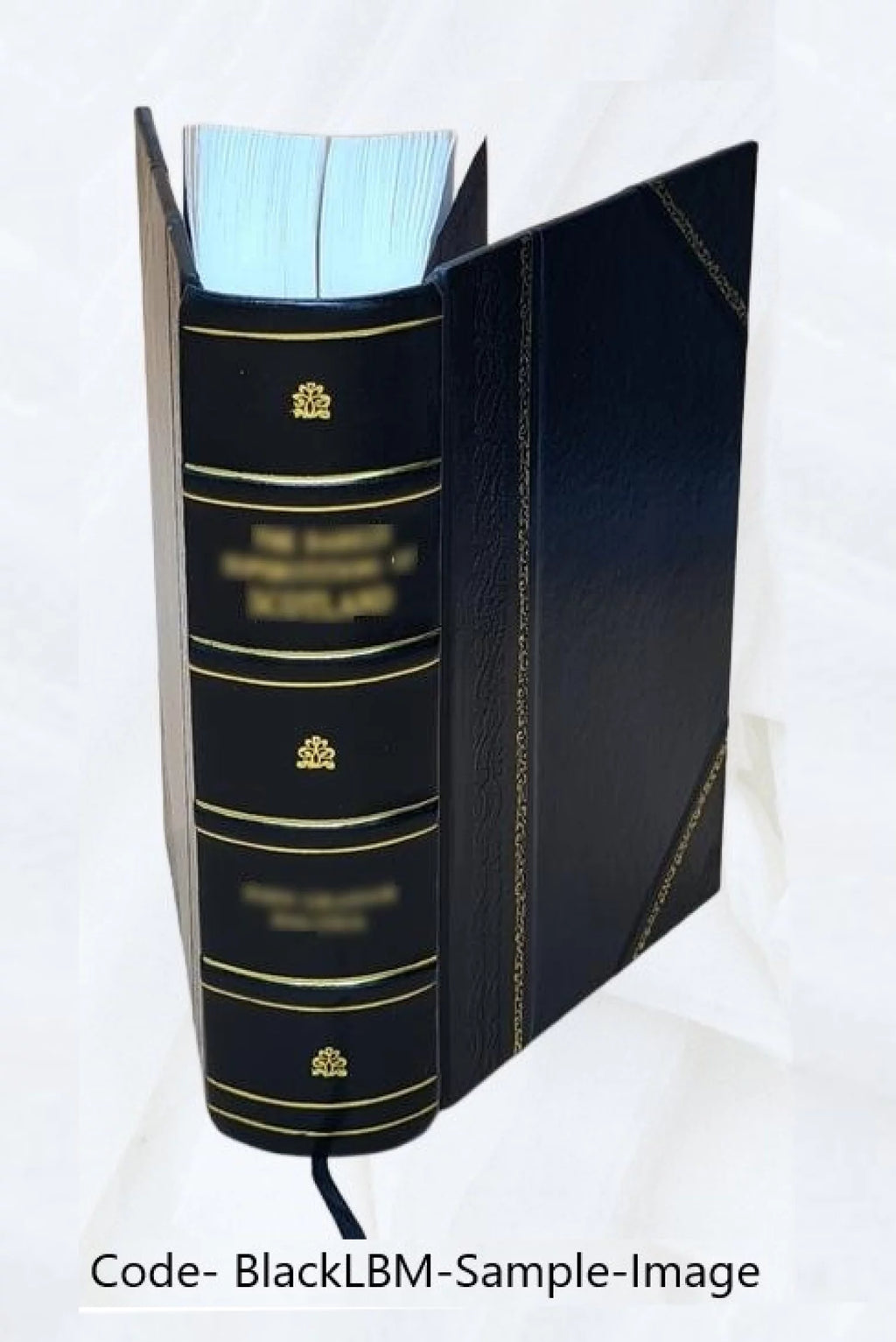 Leather Bound Calendar of State Papers Domestic Series T7302
