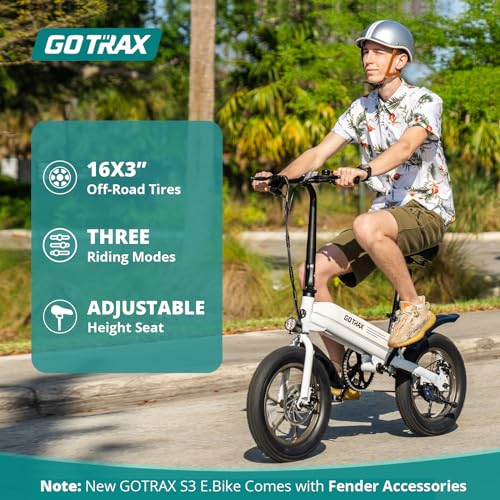 16x3.0 Fat Tire 750W Folding Electric Bike Z383
