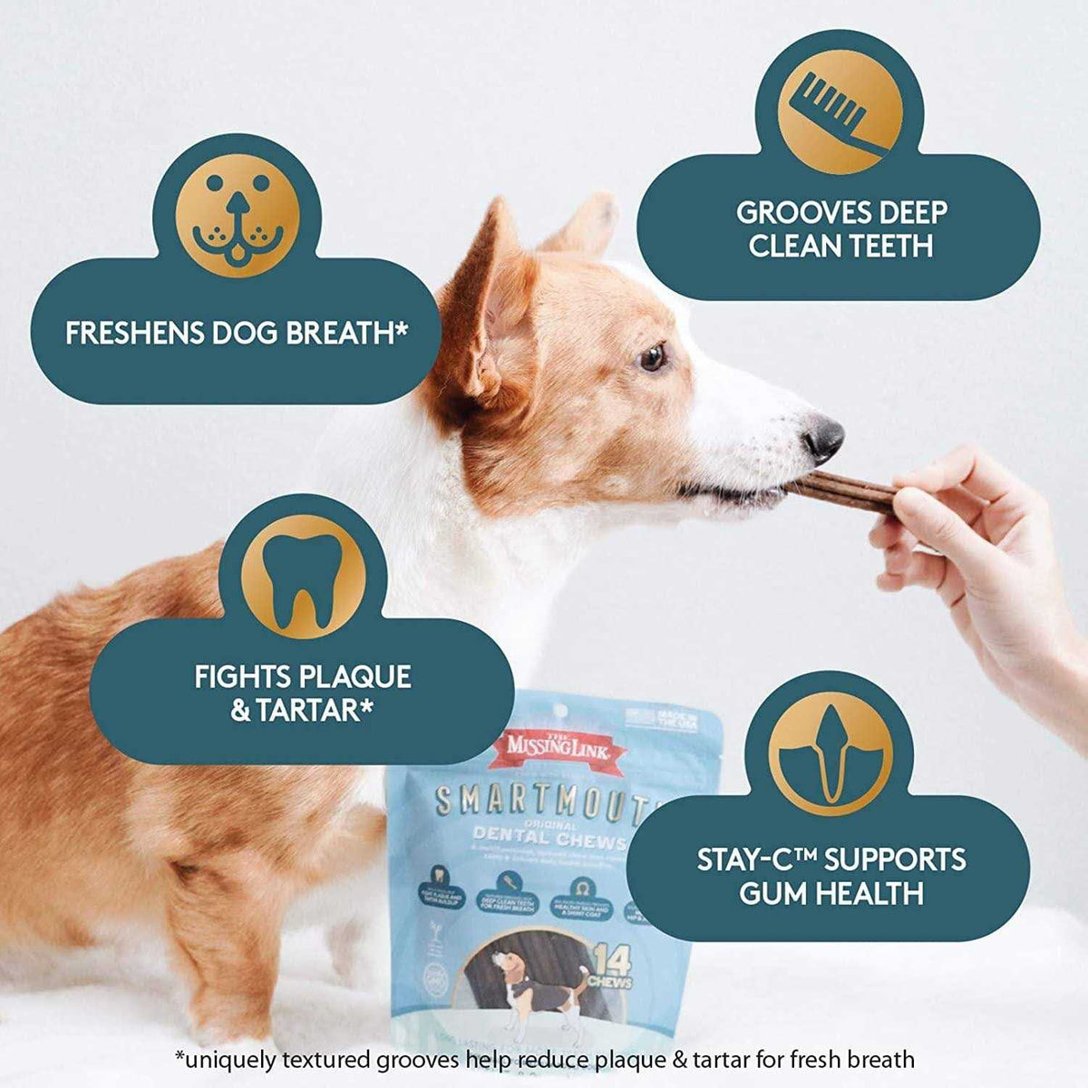 Smartmouth Dental Chews for Dogs M995