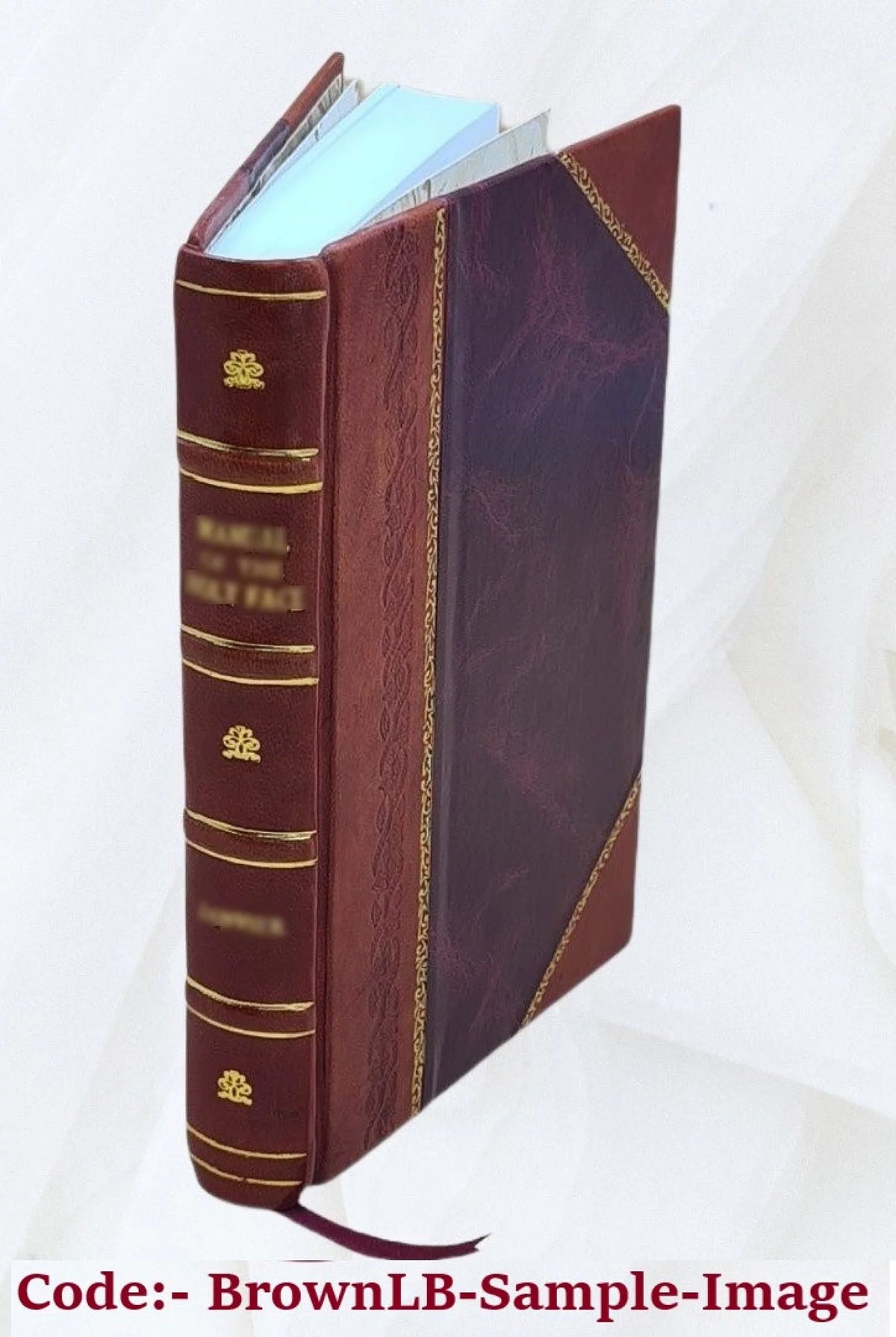 Leather Bound Book Q248081