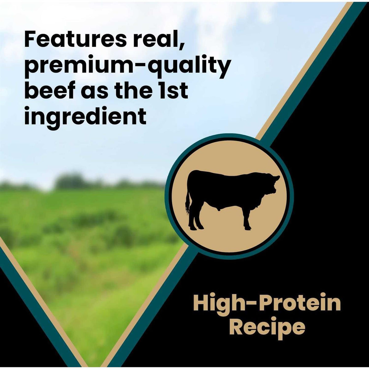 Tender Beef Recipe Training Dog Treats Q734388