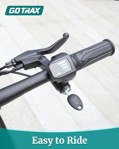 16x3.0 Fat Tire 750W Folding Electric Bike Z383