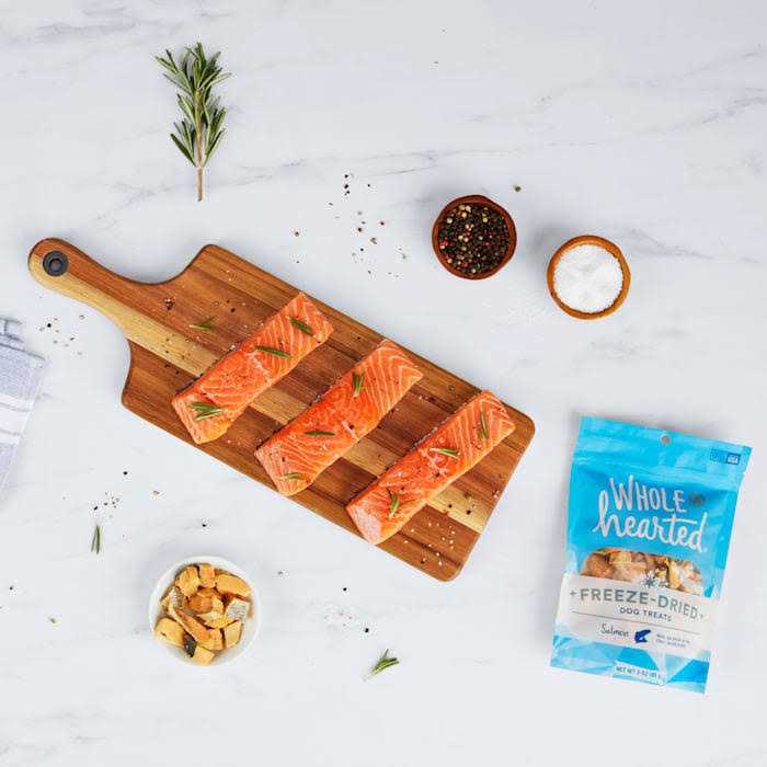 Salmon Freeze Dried Dog Treats V18522