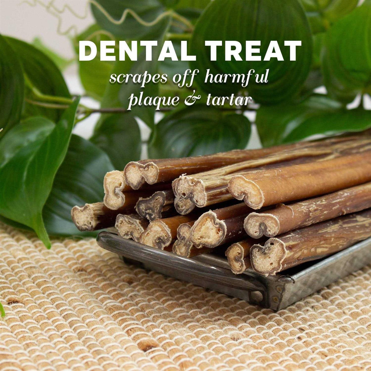 Bully Sticks for Dogs F39360