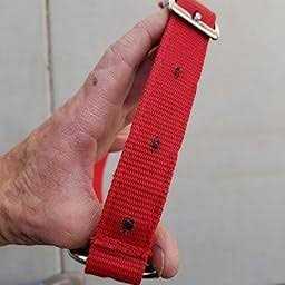 Pet Neck Collar X74323