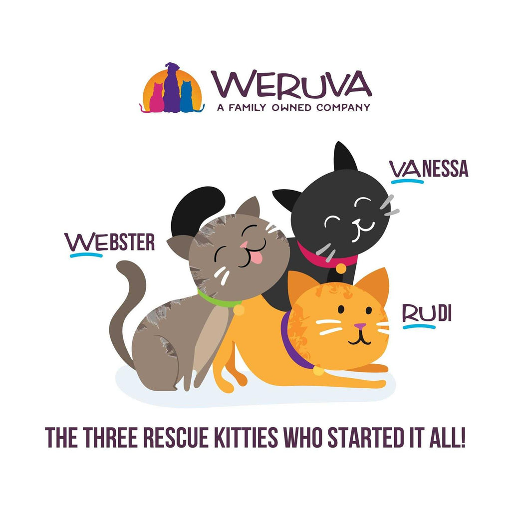 Kitten Variety Pack N3871