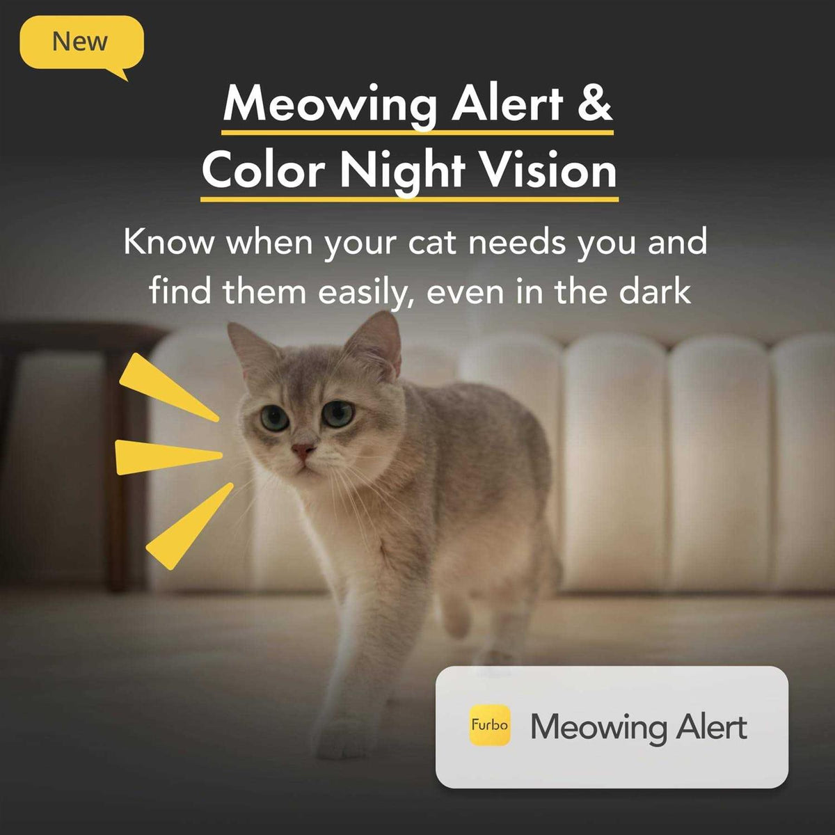 360 View Cat Camera Treat Dispenser J742
