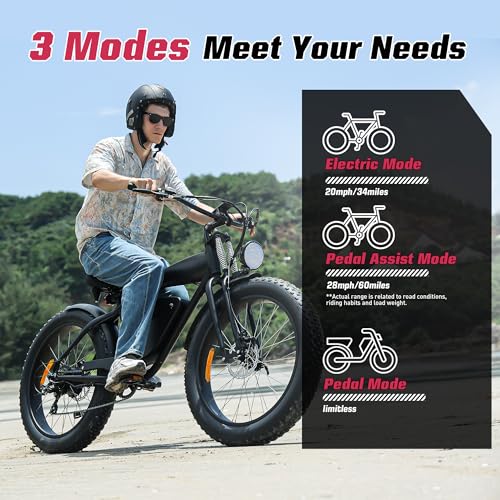 Electric Bike 48V 13Ah 750W 20" Fat Tires UL Certified D459526