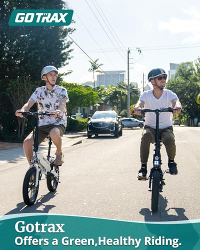 16x3.0 Fat Tire 750W Folding Electric Bike Z383