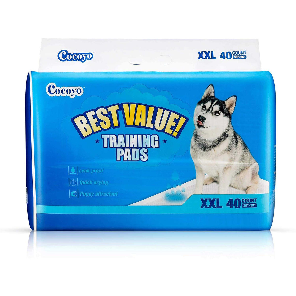 Training Pads Y248075