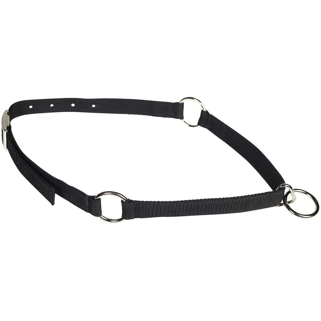 Pet Neck Collar X74323
