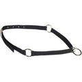 Pet Neck Collar X74323