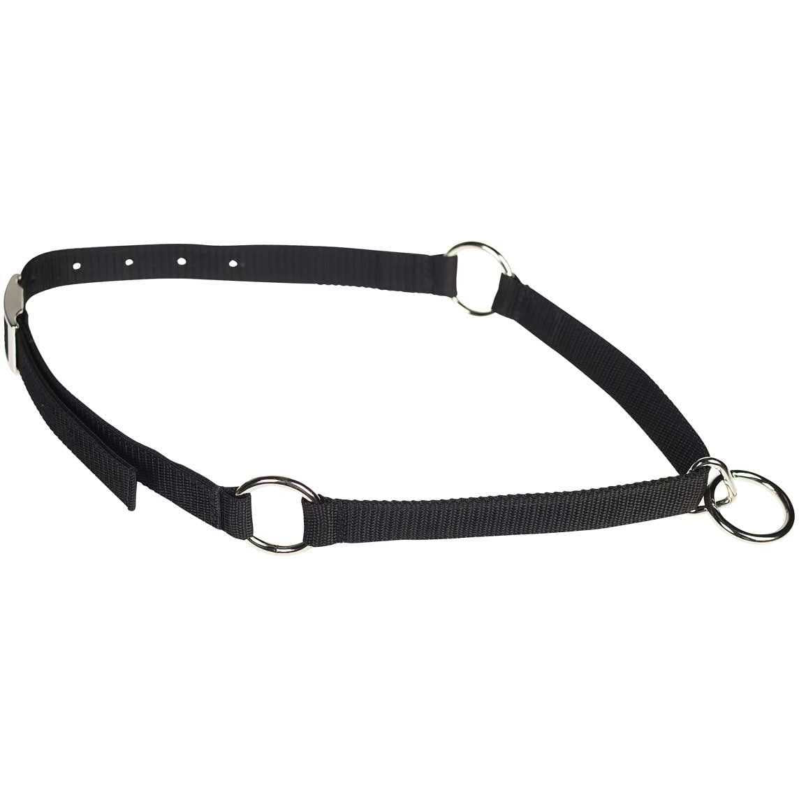 Pet Neck Collar X74323