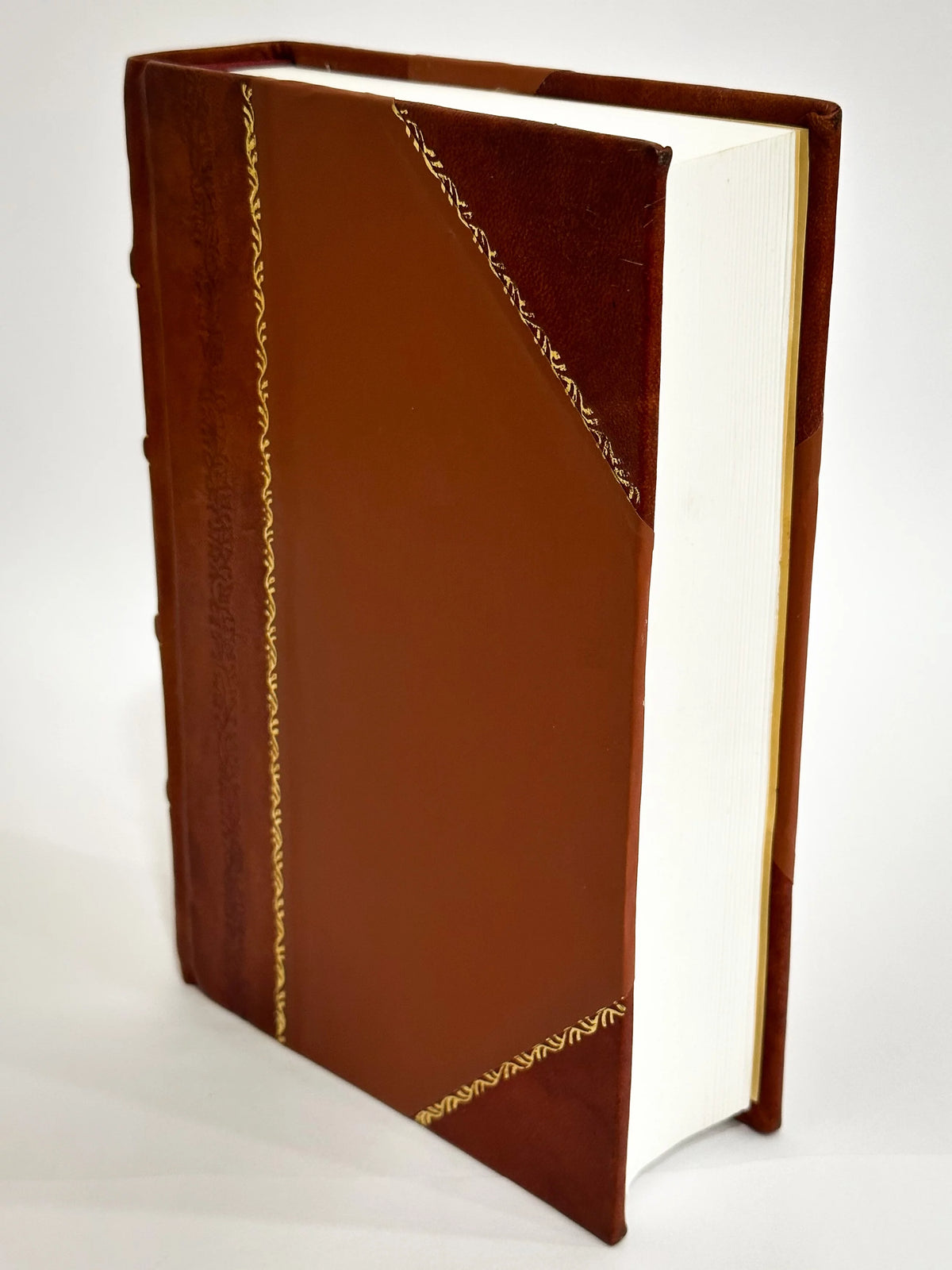 A Handbook of Therapeutics Leather Bound B70330