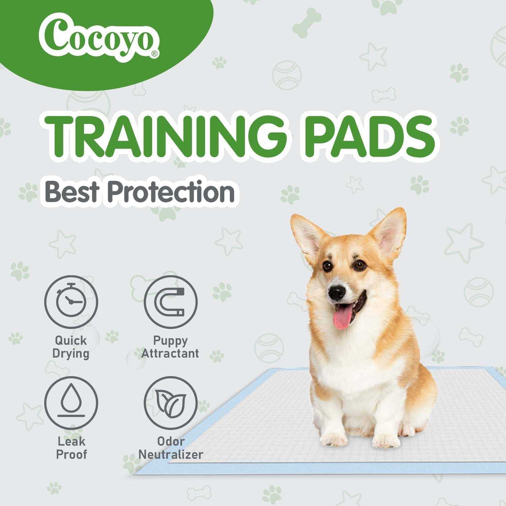 Training Pads Y248075