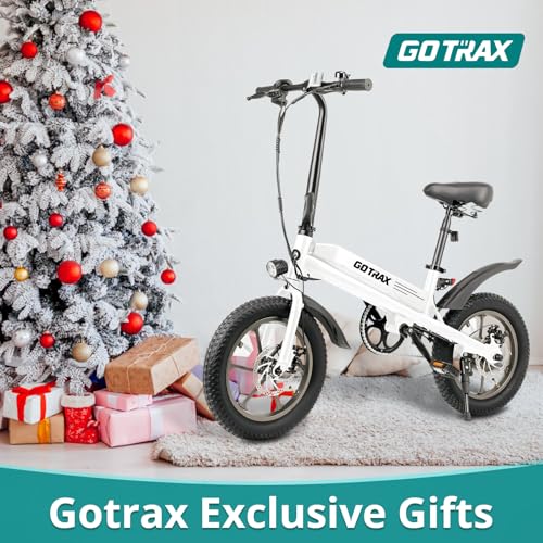 16x3.0 Fat Tire 750W Folding Electric Bike Z383