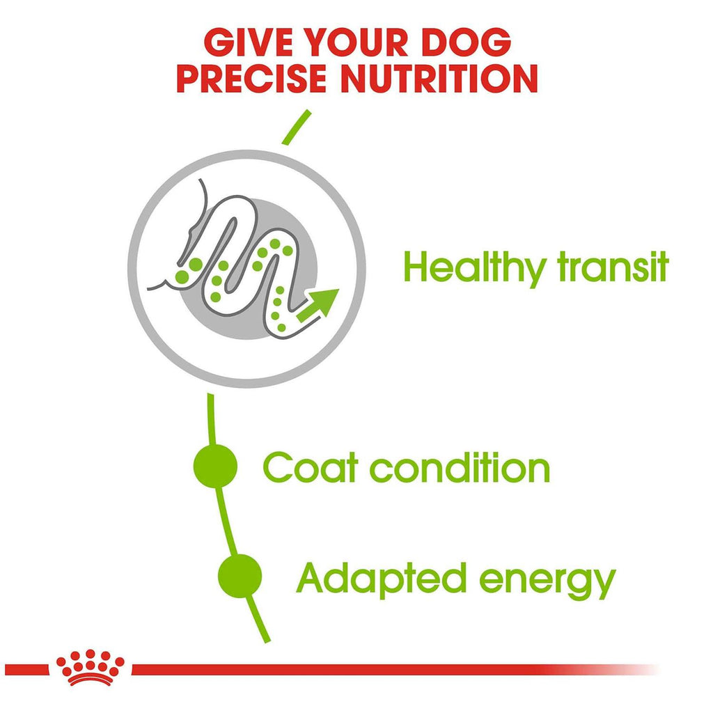 X-Small Adult Dry Dog Food R844