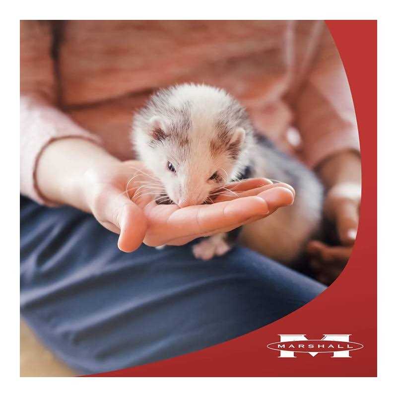 Premium Diet Pet Supplies P8699