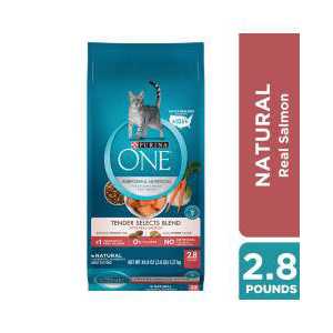 Dry Cat Food With Real Chicken X42239