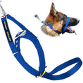 Padded Dog Training Head Collar F2620