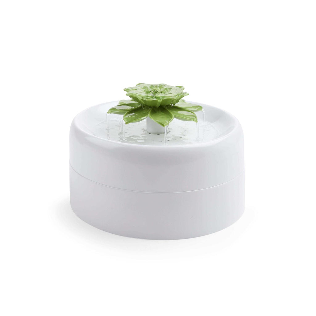 Succulent Pets Water Fountain R8312