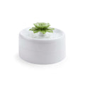 Succulent Pets Water Fountain R8312
