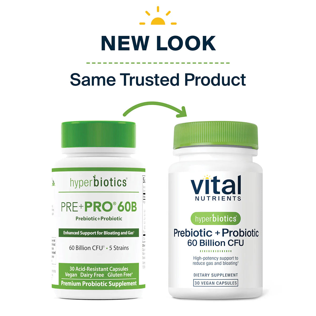 Prebiotic + Probiotic 60 Billion CFU K53342