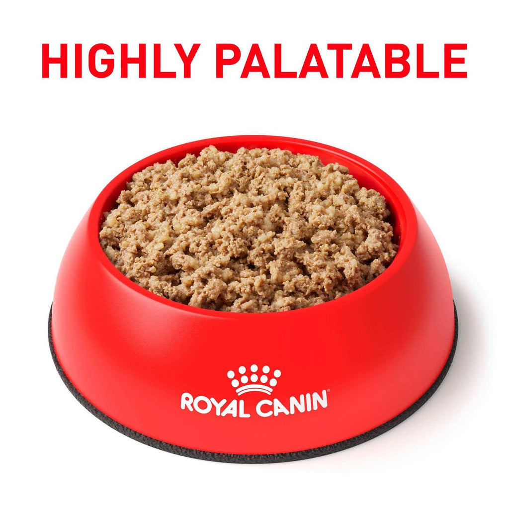 Canned Dog Food U908827
