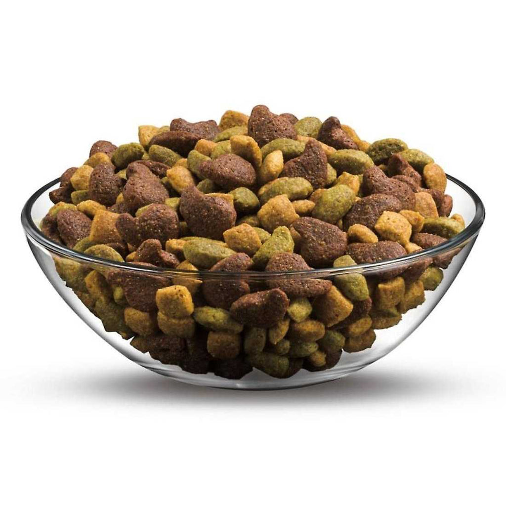 High Protein Dry Dog Food With Lamb & Beef Flavor R32352