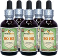 Dried Herb Alcohol-Free Liquid Extract 5x2 fl.oz G49005