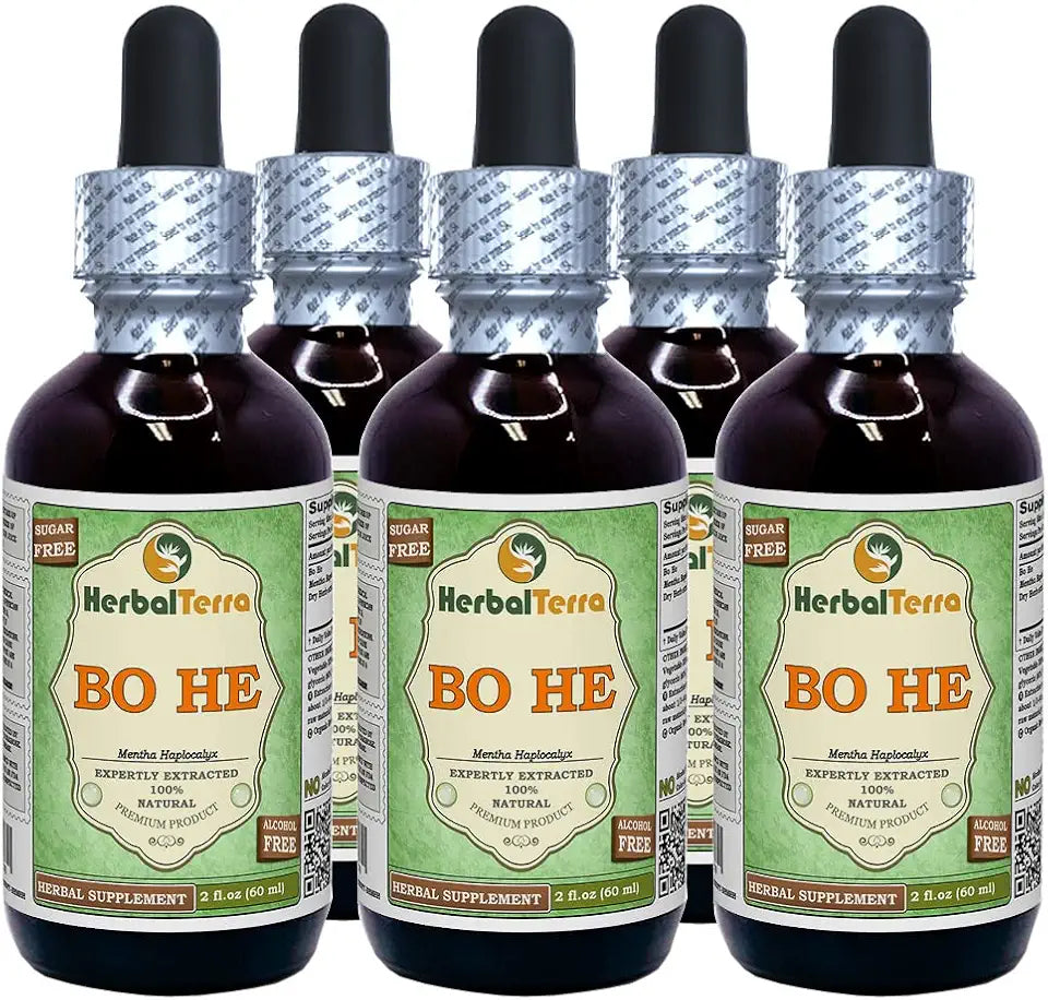 Dried Herb Alcohol-Free Liquid Extract 5x2 fl.oz G49005