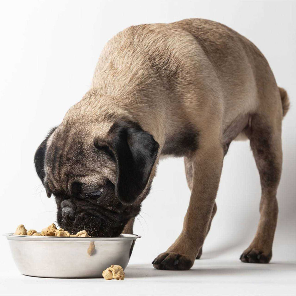 Freeze Dried Raw Dog Food R568891