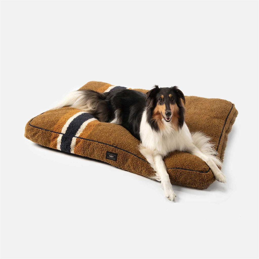 Pet Napper Pillow Bed Q653304