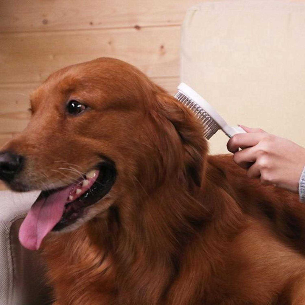 Multi-Directional Pet Grooming Rake Comb I3646